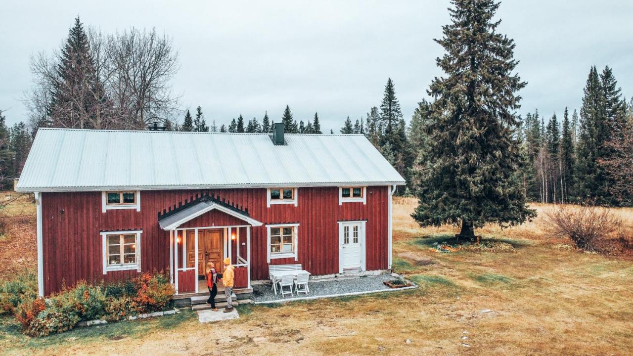 Taiga Forest Lodge Єлліваре Екстер'єр фото